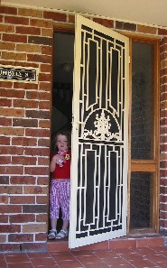 Security Screen Door